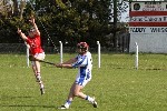 Cork09