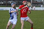 Cork13