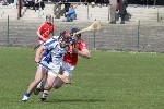 Waterford01