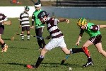 DavyHogan2014-10.jpg