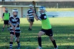 DavyHogan2014-11.jpg