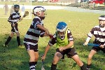 DavyHogan2014-12.jpg