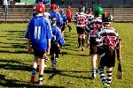 DavyHogan2014-22.jpg