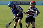 DavyHogan2014-33.jpg