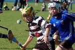 DavyHogan2014-34.jpg