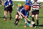 DavyHogan2014-39.jpg