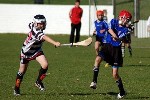 DavyHogan2014-42.jpg