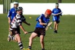 DavyHogan2014-45.jpg