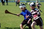 DavyHogan2014-47.jpg