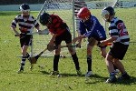 DavyHogan2014-49.jpg