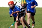 DavyHogan2014-50.jpg