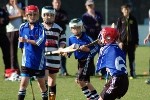 DavyHogan2014-51.jpg