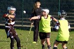 DavyHogan2014-8.jpg