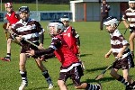 DavyHogan2014-9.jpg