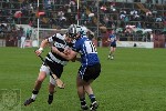 2013SHCFVSars-19