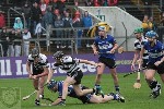 2013SHCFVSars-23