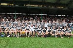 2013SHCFVSars-4