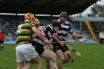 SHC v Glen 13