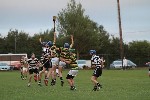 MHCvGlen01