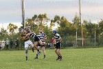 MHCvGlen09