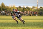 MHCvGlen10