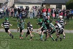 2014FeileFinal-1