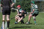 2014FeileFinal-6