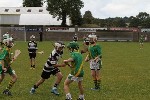Fe10 in Tipp 1
