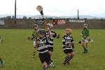 Fe10 in Tipp 4