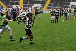Fe10s in the Park 1