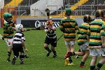 Fe10s in the Park 10