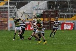 Fe10s in the Park 11