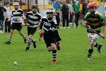 Fe10s in the Park 4