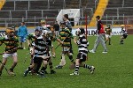 Fe10s in the Park 6