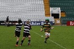 Fe10s in the Park 7