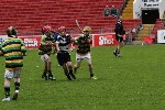 Fe10s in the Park 8