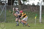 Fe13CountyHurlingfinal2013-16