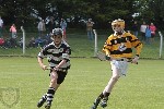 Fe13CountyHurlingfinal2013-9