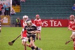 Fe 12 in Tipp 1