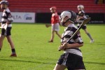 Fe 12 in Tipp 4