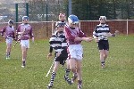 Fe13Belfast45