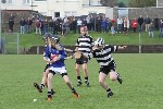 Fe13CountyFinalists03