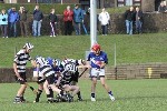 Fe13CountyFinalists05