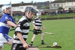 Fe13CountyFinalists08