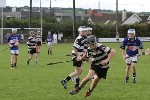 Fe13CountyFinalists10