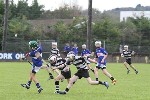 Fe13CountyFinalists11