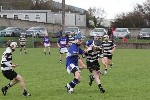 Fe13CountyFinalists16
