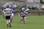 Fe13CountyFinalists17