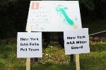 New York Sponsors