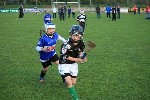 Fe10vSars02